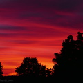 sunset_.jpg